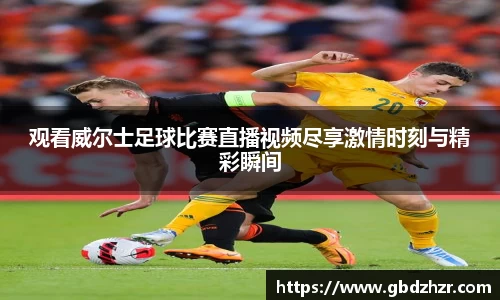 v大发彩神8iii